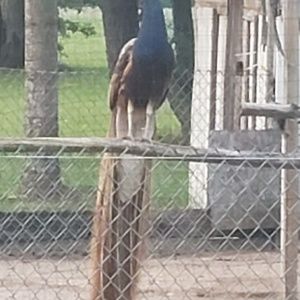 Meet your Posher, Terry